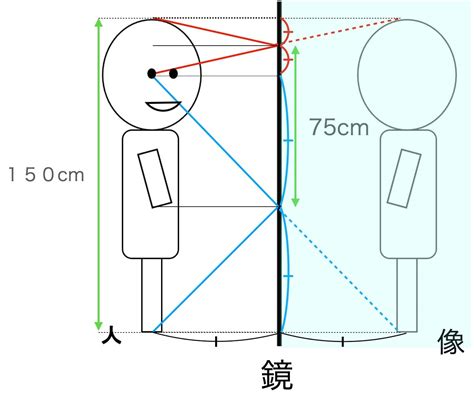 全身鏡高度 己巳年蛇